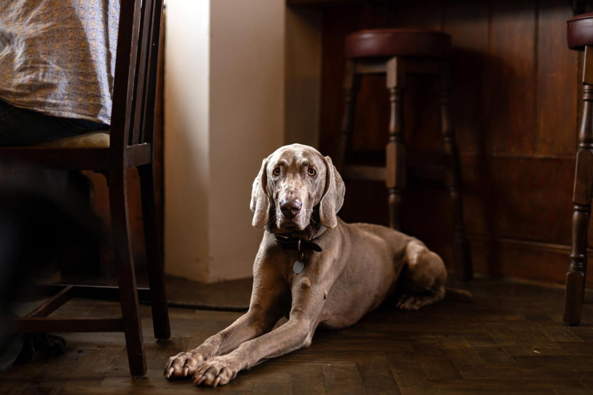 The Lamb Inn Hindon Екстер'єр фото